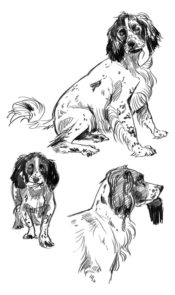 Birdwood Games tweet media