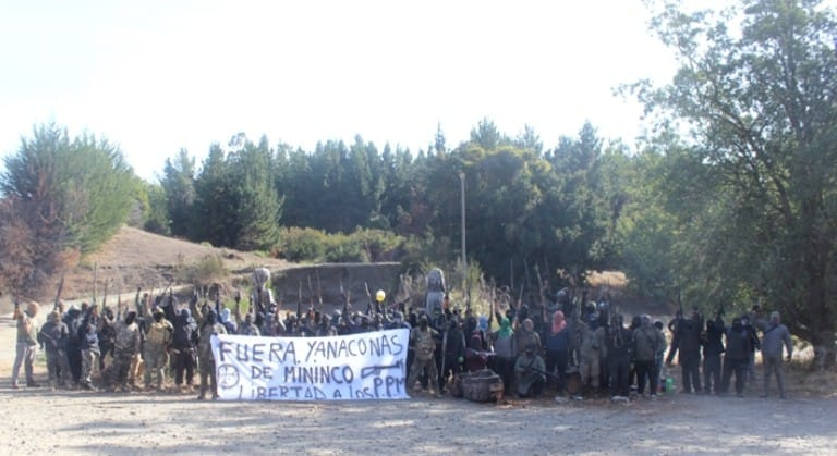 BotCheckerCL's tweet photo. ¿Se acuerdan de esta foto que todo Chile dijo que parecían pacos? 

Era verdad po'

Ultronia lo pierde todo. https://t.co/r2hOGtPIRy