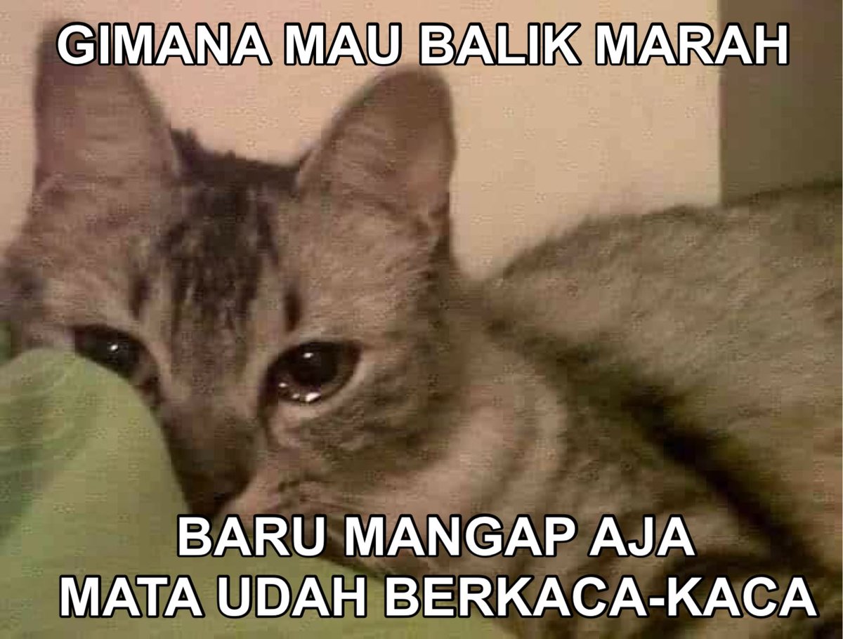 ayubsr's tweet photo. Sedikit galak, banyak cengengnya https://t.co/wBipKuhCpZ