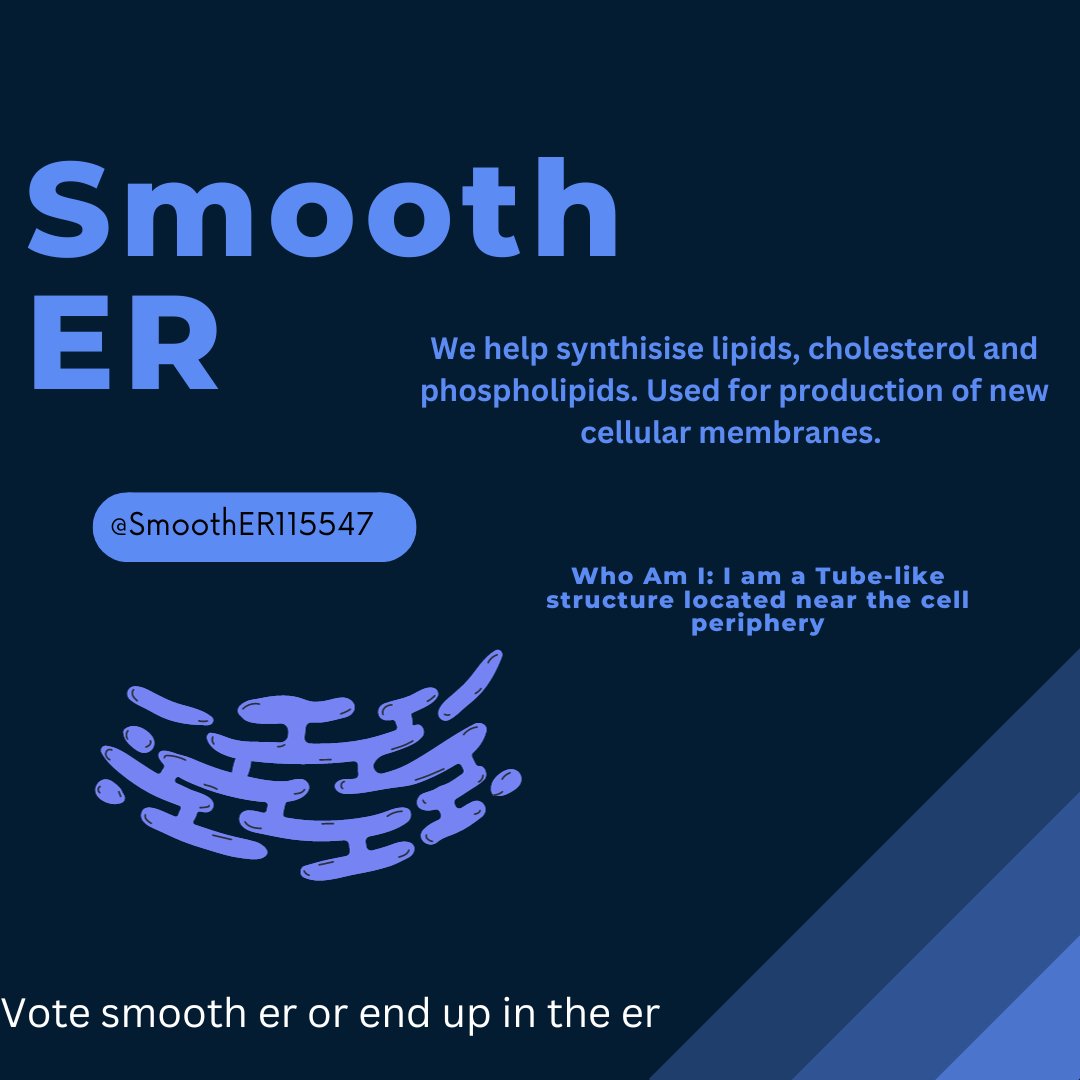 Smooth ER tweet media