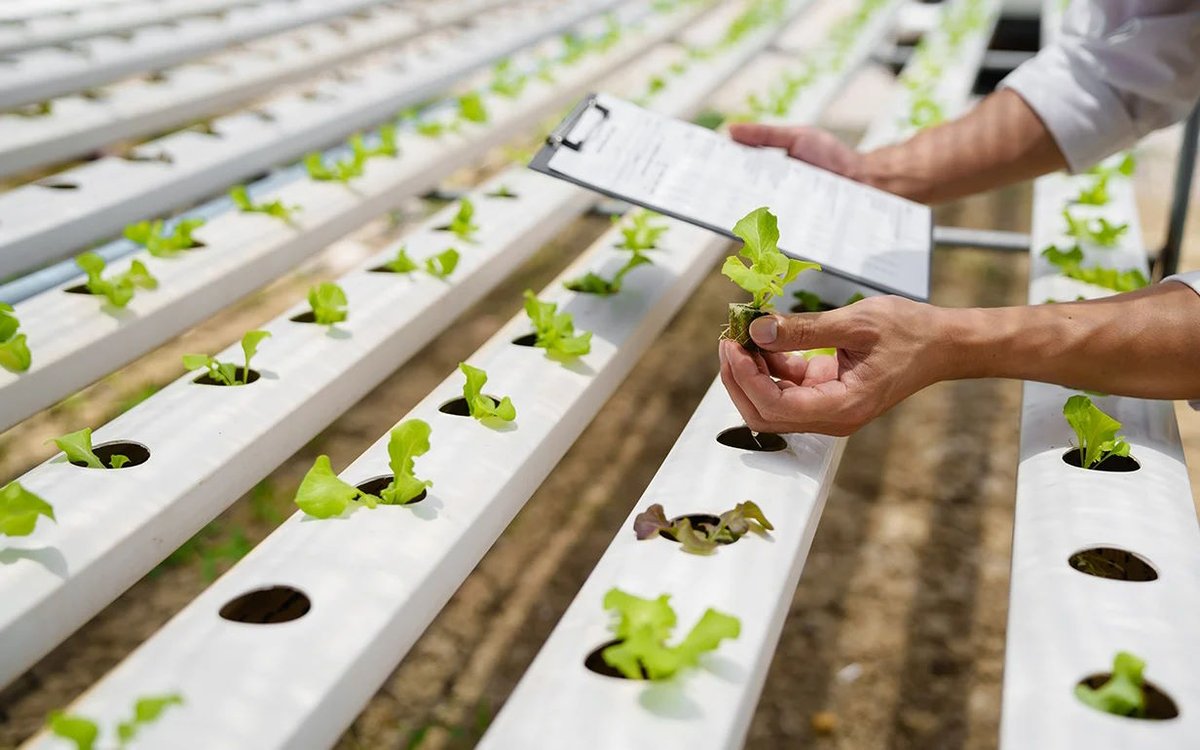 BetterEval's tweet image. Outcome Harvesting collects (“harvests”) evidence of what has changed (“outcomes”) and, working backwards, determines whether and how an intervention has contributed to these changes. Especially useful in complex situations. betterevaluation.org/methods-approa… #evaluation #outcomeharvesting