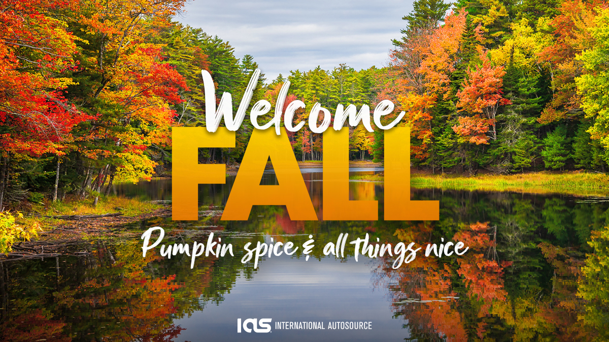 IntlAutoSource's tweet photo. Sweater weather is upon us! Join us in ringing in the fall equinox the correct way - with pumpkin spice lattes, home-made pies, toasty activities and enough football to keep the whole family entertained.

Goodbye ☀️🌊, hello 🍂🎃🍁.

#fall #autumn #internationalautosource... https://t.co/7SIzAmWGMA