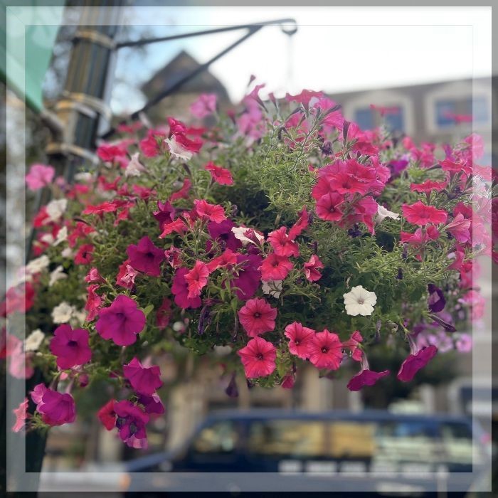 HarrisburgDID's tweet image. Don't miss the final days of #HarrisburgRestaurantWeek! Make your plans downtown with the help of our weekly newsletter: bit.ly/3sTi4mw
#LoveHBG