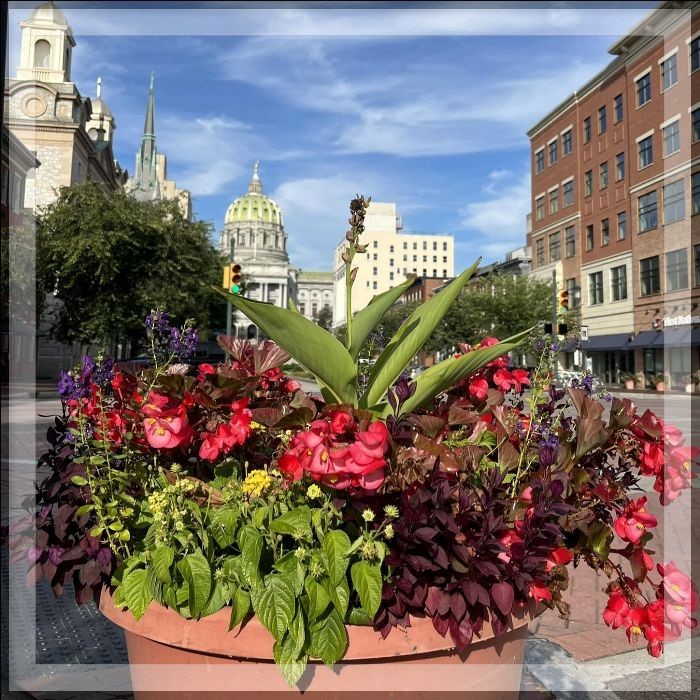 HarrisburgDID's tweet image. Don't miss the final days of #HarrisburgRestaurantWeek! Make your plans downtown with the help of our weekly newsletter: bit.ly/3sTi4mw
#LoveHBG