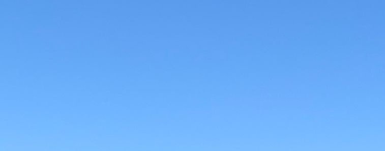 Lisa 💃⛳🇬🇧🇪🇺 tweet media