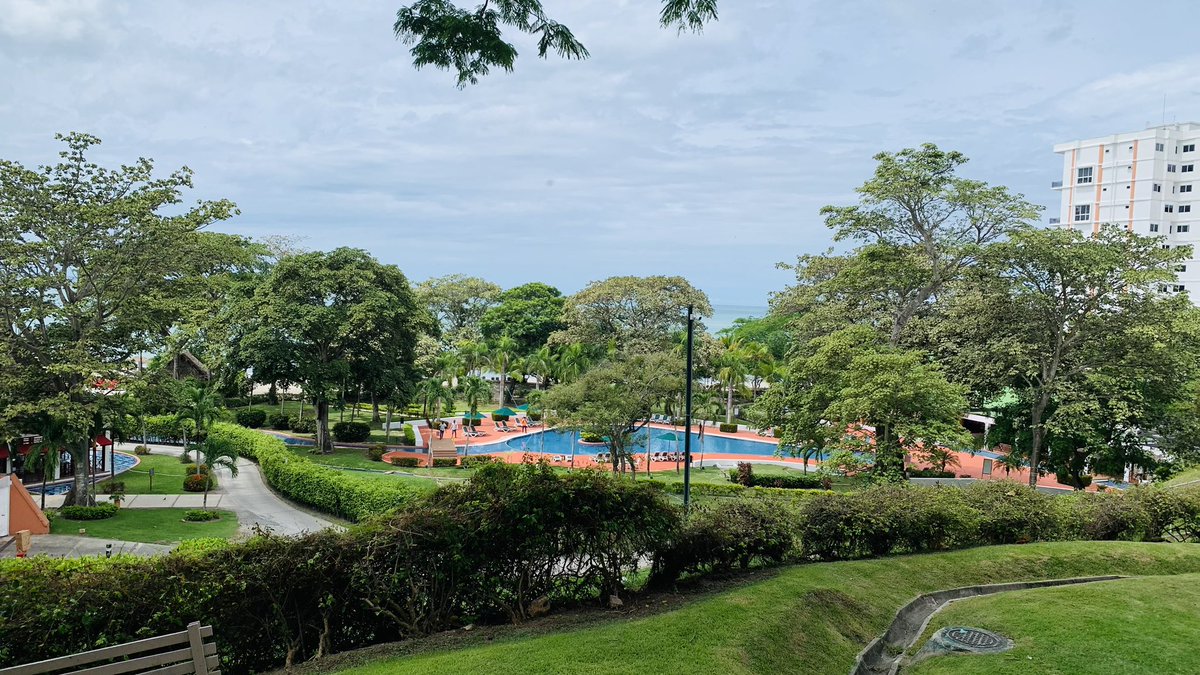 Meetings®️Panama tweet media