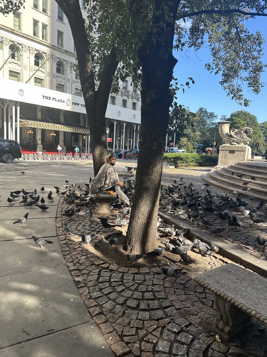 Booksey's tweet image. Gm to everyone except the bird lady from home alone