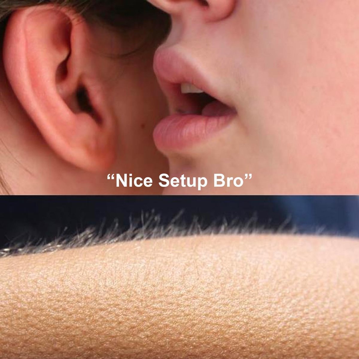 silverEDsurfer_'s tweet image. Who wants praise 😏 show me your #pcsetups