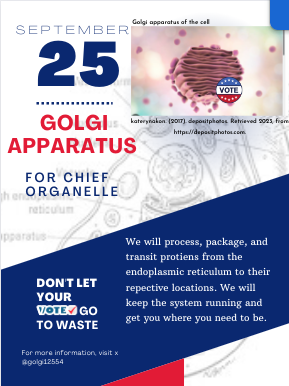 Golgi Apparatus tweet media