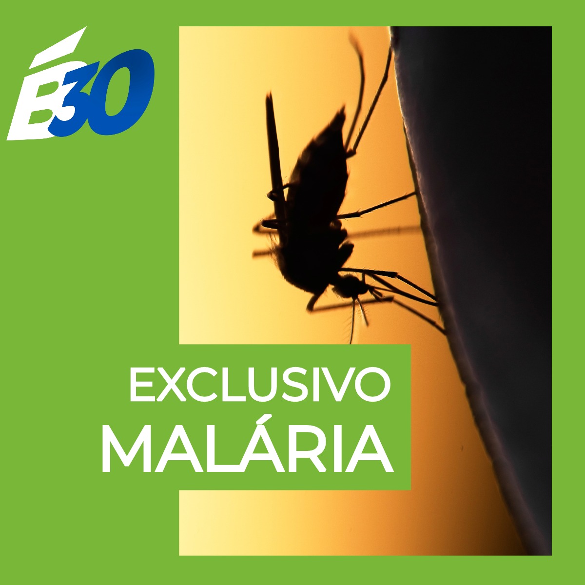 b30podcast's tweet photo. CHEGOU o episódio exclusivo para os apoiadores, lá no @apoiase!

O episódio é sobre como as mudanças climáticas estão moldando o cenário da malária, uma das doenças mais antigas e mortais do mundo.

Para ouvir, é só assinar:
https://t.co/k219iafoSO https://t.co/akXUW540DT
