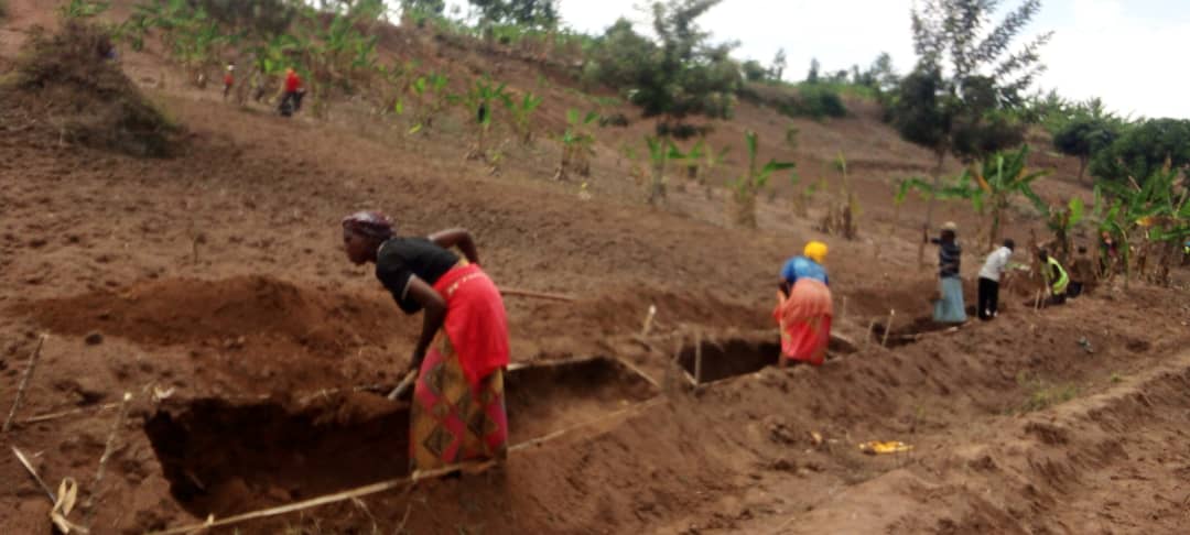 Rukumberi Sector tweet media