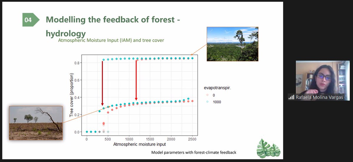 <a href="/SSUNGA_77/">UNGA77 Science Summit</a> <a href="/IAI_news/">IAI</a> <a href="/AgenciaFAPESP/">Agência FAPESP</a> <a href="/RafaelaMolinaV/">Rafaela M. Molina Vargas</a> <a href="/ScienceUnga/">Science Summit 2025</a> The importance of modelling to build sustainable use and predicting the vulnerability of tropical forests! <a href="/ScienceUnga/">Science Summit 2025</a> <a href="/RafaelaMolinaV/">Rafaela M. Molina Vargas</a>