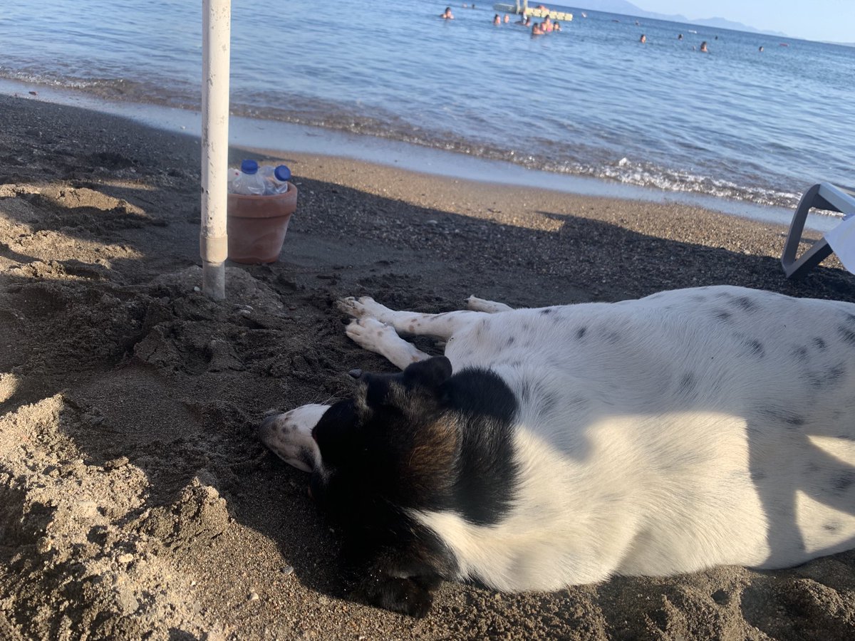 Sahil arkadaşım..😜