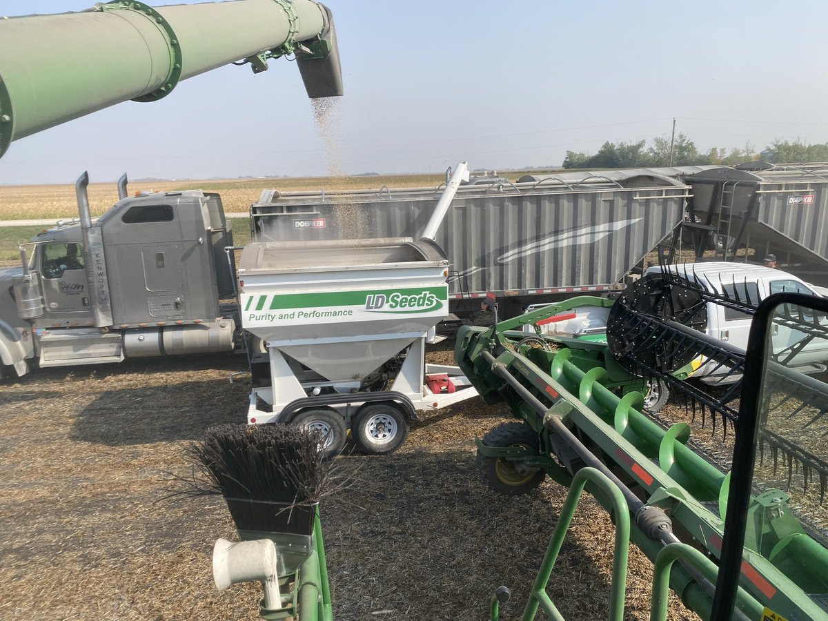 Thanks to H&amp;M Farms in Altona for their work on a Food Grade Soybean plot.  Generating data to help make decisions in the future.  <a href="/CameronHild/">Cameron Hildebrand</a> <a href="/LD_Seeds/">LD Seeds</a> <a href="/Sevita_Int/">Sevita International</a>