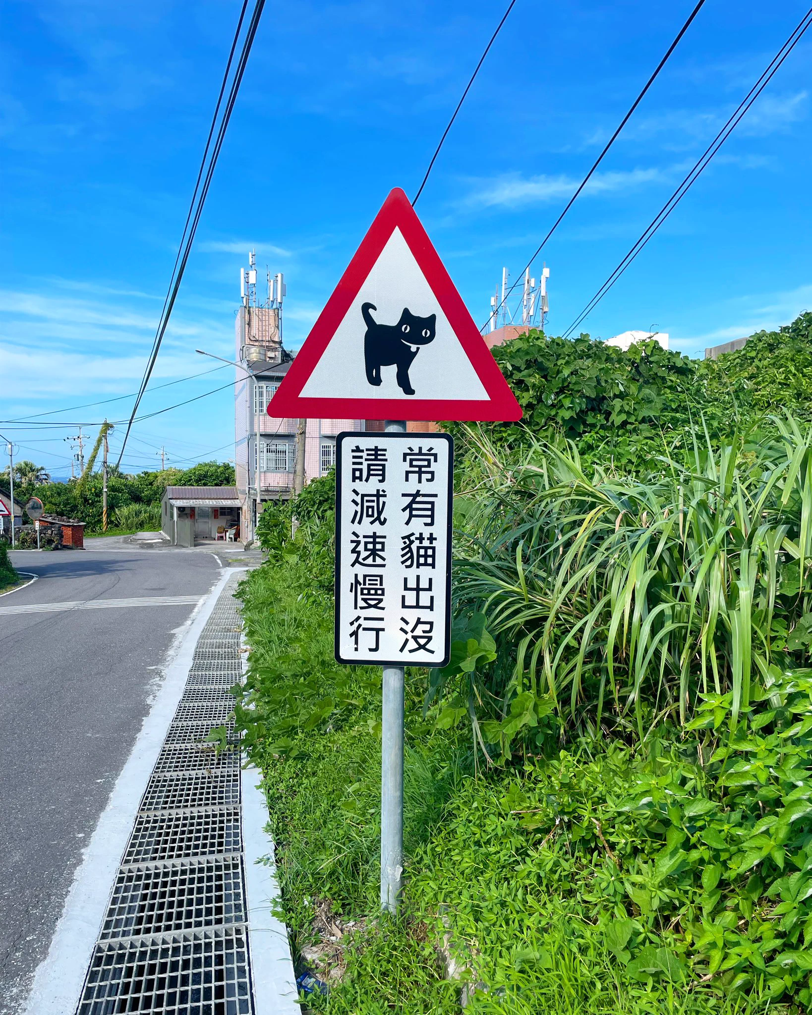 まめはな on X: 