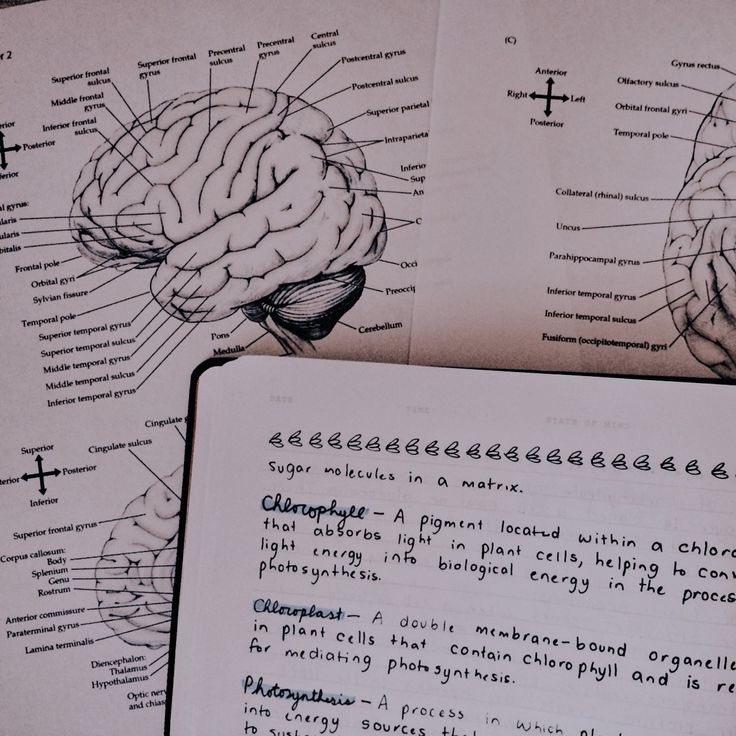 jhonstudy's tweet image. 📝search ⁠｡⁠*⁠#studytwt + #collegetwt  

✎ Jhon
✎ 2002, ele/dele
✎ universitário de psicologia Ψ

♡︎/↺= mutuals