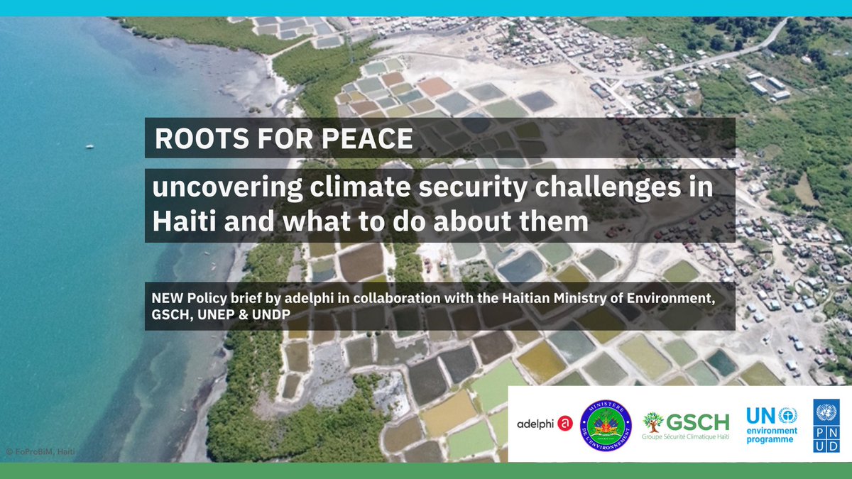 On #InternationalDayofPeace our🆕 #WeatheringRisk policy brief #RootsForPeace is live! It identifies 5 climate security pathways for #Haiti and proposes responses that integrate climate adaptation &amp; environmental protection with peacebuilding measures.
🧐 adelph.it/WRHaiti