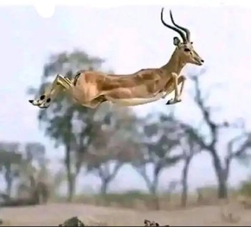 Ghost👻 tweet media