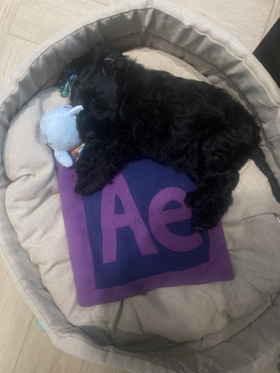 chubrickart's tweet photo. He is at home 🖤 https://t.co/KbuOZ5RKKV