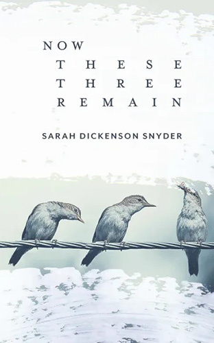 Jennifer Martelli offers readers a review of Sarah Dickenson Snyder's poetry collection, Now These Three Remain, published by Lily Poetry Review Books. Read more at NewPages.com! #bookreviews #booknews #poetry #reading @PoetryLily @Martelli89 newpages.com/blog/news/now-…