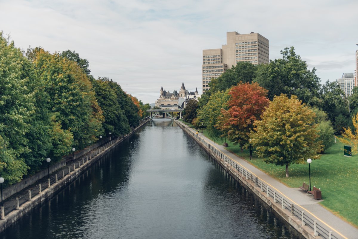 From Nov 8-10, 2023, @uodroitpublaw, <a href="/UAlbertaLaw/">University of Alberta Faculty of Law</a> and <a href="/OsgoodeNews/">Osgoode Hall Law School of York University</a> will hold a major national conference on emerging issues in constitutional interpretation in Canada. Program here, with registration info to follow shortly: dropbox.com/scl/fi/dgxd6nh… <a href="/gerardjkennedy/">Gerard Kennedy</a> <a href="/blberger/">Benjamin Berger</a>