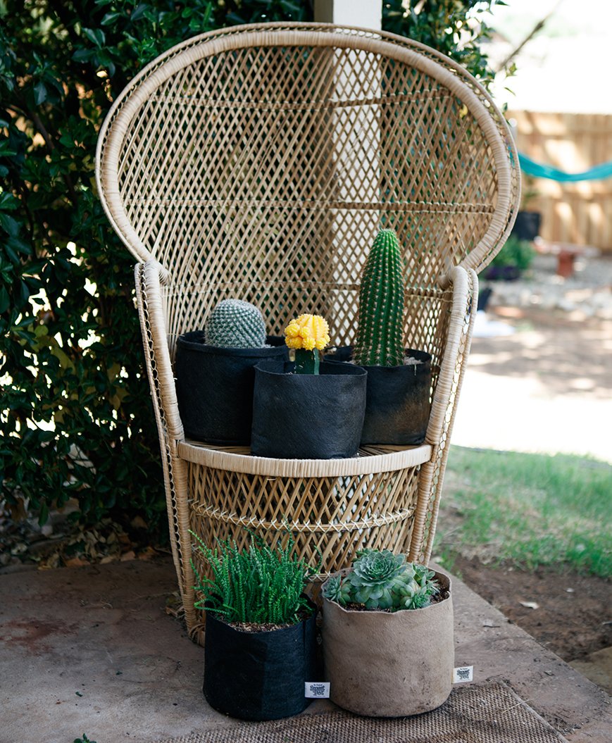 SmartPots's tweet image. Celebrate National Indoor Plant Week with a Smart Pot!

Smart Pot planters produce healthier roots by air pruning – creating lots of smaller, fibrous roots. 

Grow a wider variety of plants indoors with Smart Pots:
smartpots.com/houseplant-how…

#nationalindoorplantweek #houseplants