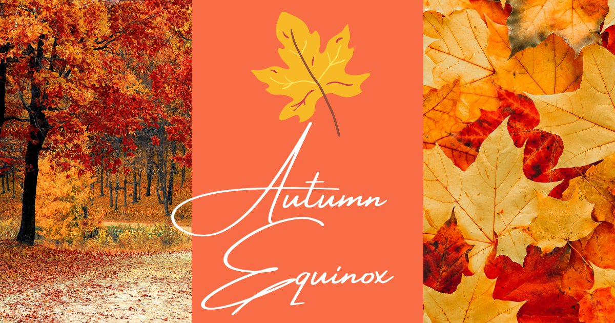 🍂✨ Let’s nurture wellbeing this Autumn Equinox 🌗🌱

Here's to a new season of self-care, cozy moments, and flourishing wellbeing. 🍁💛🌻

#AutumnEquinox #Wellbeing