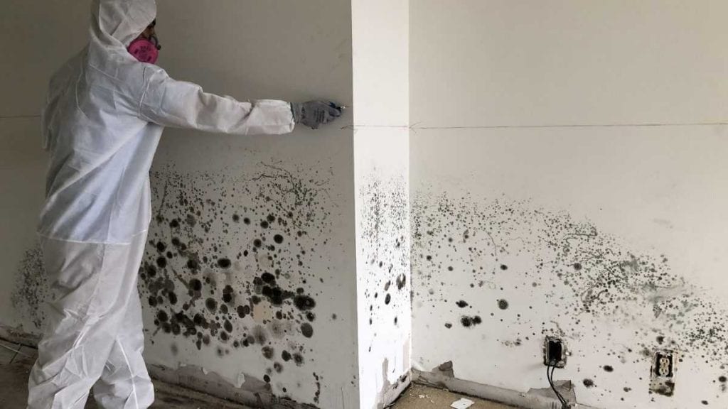 Mold damage restoration - Brooklyn Water Damage

#BrooklynWaterDamage is your trusted mold damage restoration partner. 👍Get in touch today and let us bring back the safety and serenity to your space. 🫧

🔗cleanmyflood.com/index-brooklyn…
📞(347) 455-9898

brooklyn-water-damage.business.site/posts/42319488…

#Mold