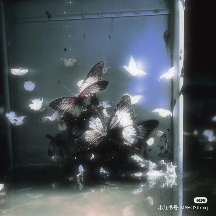violettweets_'s tweet photo. butterflies. https://t.co/4kWiNqpqxY