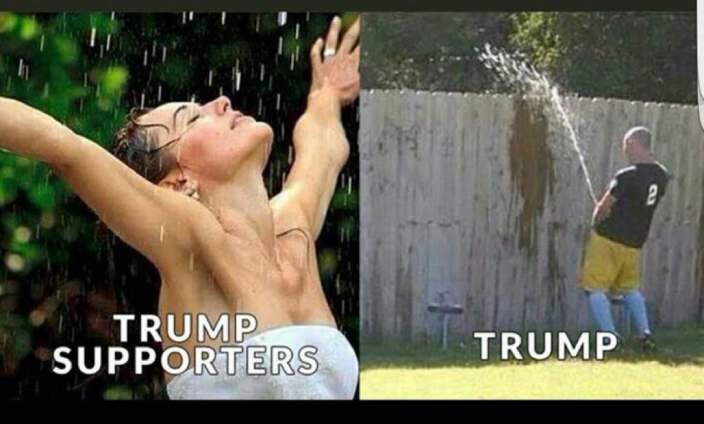 hellosf77's tweet image. Also, #TrumpVideo #Pee