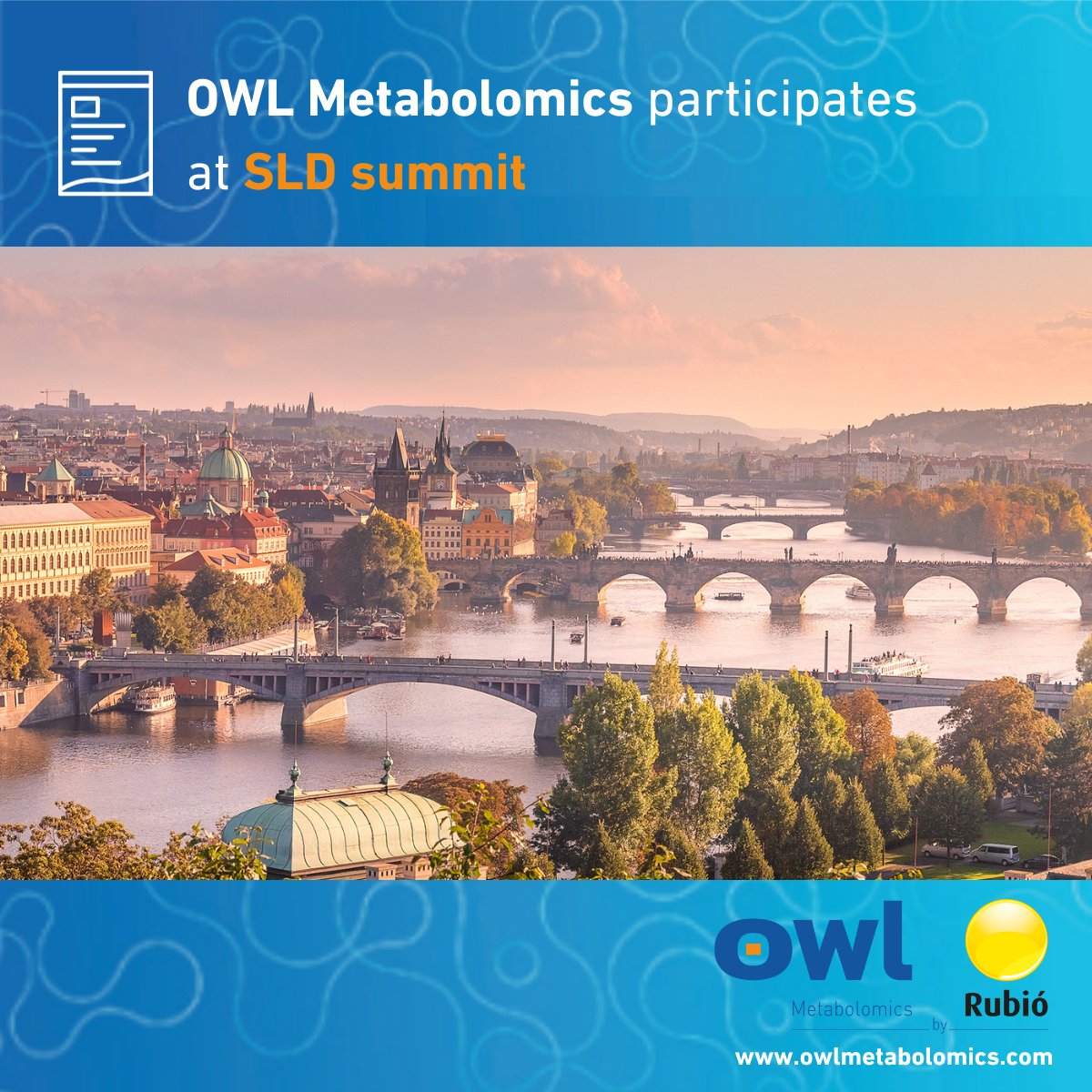 We're proud to share the results of two projects we collaborated on which will be presented as posters at #SLDsummit in Prague. Led by the University of Lisbon, the research delves into metabolic liver disease and hepatocarcinogenesis, offering new insights in the field.