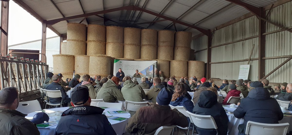 SACGrazeUp's tweet photo. Leader Follower vs Clean Grazing 

Bigger mob sizes = more grazing pressure. Keep it simple with 2 mobs and move when the followers need moved. 
Sheep followed by cows  or 
Thin ewes followed by fat ewes 

#grazedebate2023 https://t.co/zsETjOIoYe