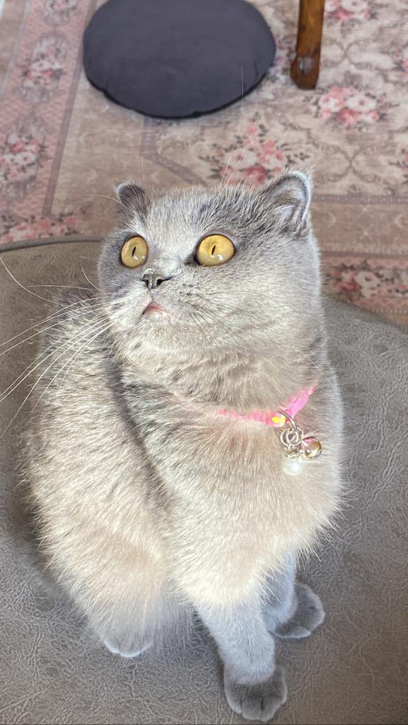 Sen benim canım🫧♥️