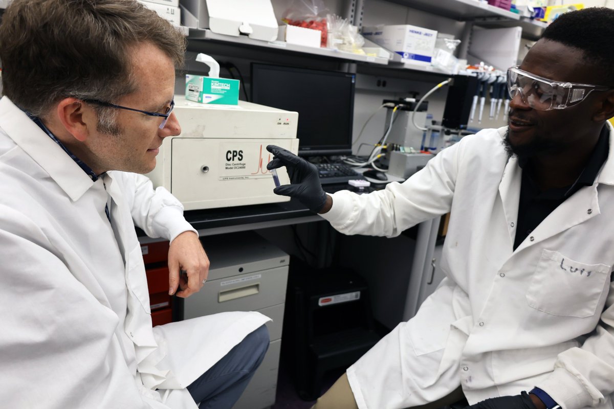 LSU Engineering (@lsuengineering) on Twitter photo Researchers from <a href="/lsu_che/">LSU Chemical Engineering</a>, <a href="/McPeakLab/">McPeak Lab</a>, and <a href="/TulaneBME/">Tulane Department of Biomedical Engineering</a> have synthesized gold nanoshells and used them to improve the penetration depth of photoacoustic imaging, which is good news for biomedical imaging and cancer therapy. #ScholarshipFirst
lsu.edu/eng/news/2023/… Researchers from <a href="/lsu_che/">LSU Chemical Engineering</a>, <a href="/McPeakLab/">McPeak Lab</a>, and <a href="/TulaneBME/">Tulane Department of Biomedical Engineering</a> have synthesized gold nanoshells and used them to improve the penetration depth of photoacoustic imaging, which is good news for biomedical imaging and cancer therapy. #ScholarshipFirst
lsu.edu/eng/news/2023/…