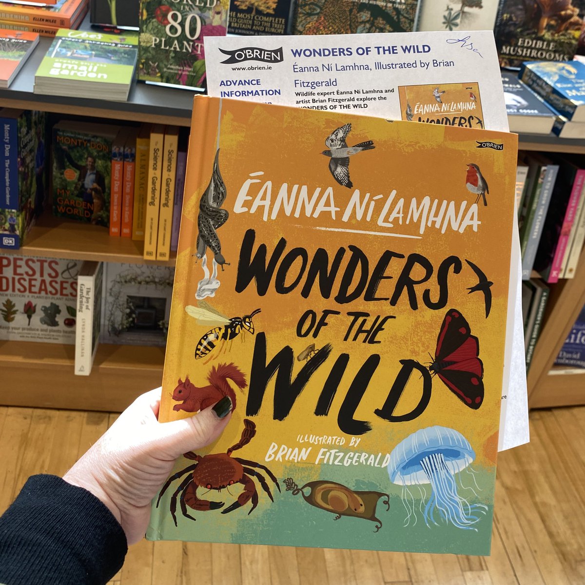 More book post 🎉 delighted to get an advance copy from @OBrienPress of #WondersOfTheWild by #EannaNiLamhna and illustrations by @brianfitzer - get your copy in October! 

#PerksOfBeingABookseller in @omahonysbooks 
#ChildrensBooks #naturebooksforkids #DiscoverIrishKidsBooks