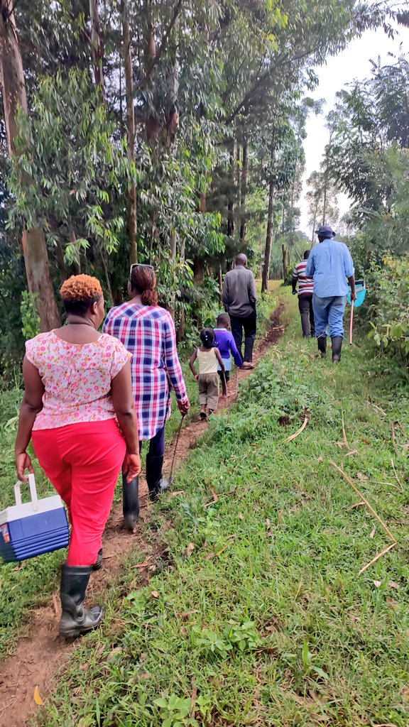 #NTD team at Mfutu Village which is adjacent to previously endemic sites in Kaimosi-Kakamega region establishing if it is a potential breeding site and endemic for #onchocerciasis

#onchoeliminationKenya
#onchoreconnaissance
#eliminination
#beatNTDs
#lastmile
#endingtheneglect