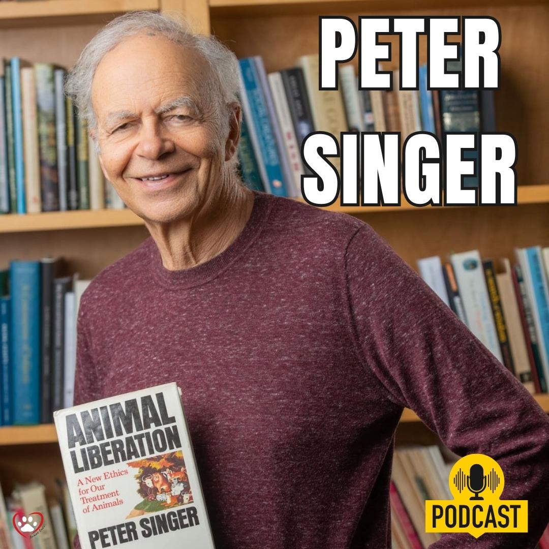 AnimalsRadio's tweet photo. 🎙️ Nikita Dhawan hosts Effective Animal Advocacy with guest Professor Peter Singer, a renowned philosopher and author known for his work in animal ethics and animal rights. @dhawan_niki @PeterSinger 

 🔉 All listen options  
https://t.co/A47SFWPsy6 https://t.co/gMfOXvMvz1