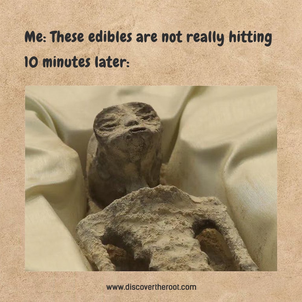 When you underestimate the edibles, and suddenly reality takes a cosmic turn! 

#EdiblesGotMeLike #TrippyAdventures #UnexpectedJourney #DiscoverTheRoot