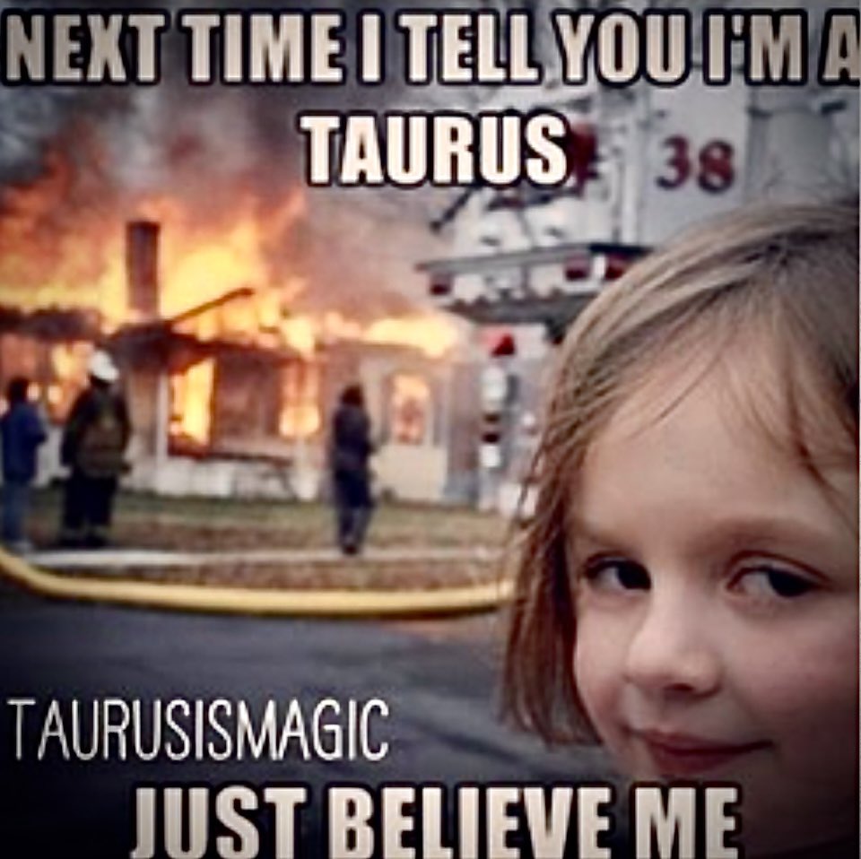 taurusismagic's tweet photo. ♉️😂😎 https://t.co/oPeq2Rlofc