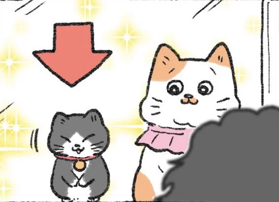 ねこおじ様 やじま@ねこおじ7・8巻発売中🐱 on X: 