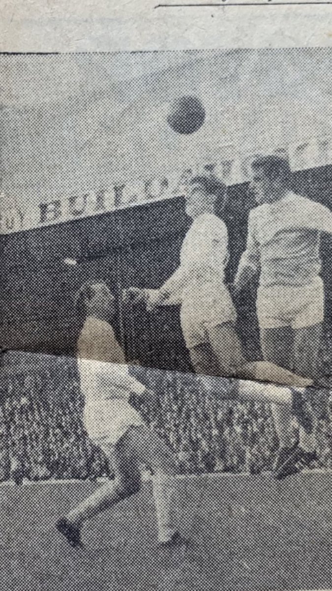 Anthony Rees tweet media