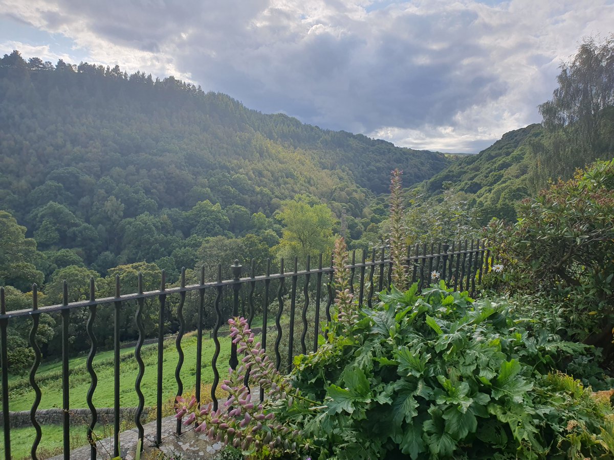 Lumb_Bank's tweet photo. In the midst of a brilliant Life Writing week with fabulous tutors Rhik Samadder @whatsamadder &amp; Christie Watson @christiewatsonwriter ~ &amp; we enjoyed hearing the fabulous Charlie Gilmour @charliegilmour talk about his spellbinding memoir on birds and fathers 🍃🍂🐦‍⬛ https://t.co/q3Px1zfVMV