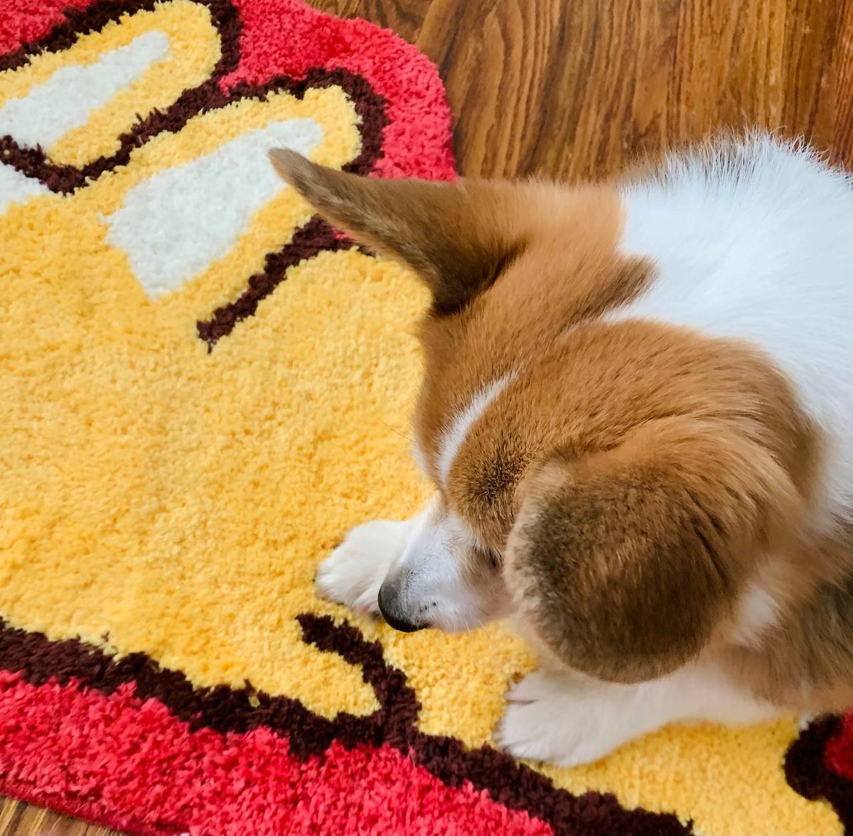 NaomiRomeroArt's tweet image. Bug the Corgi rugs are dropping soon!   Now you can be as snug as Bug with this rug! 
Also.. drop includes enamel pin and stickers.. stay tuned!