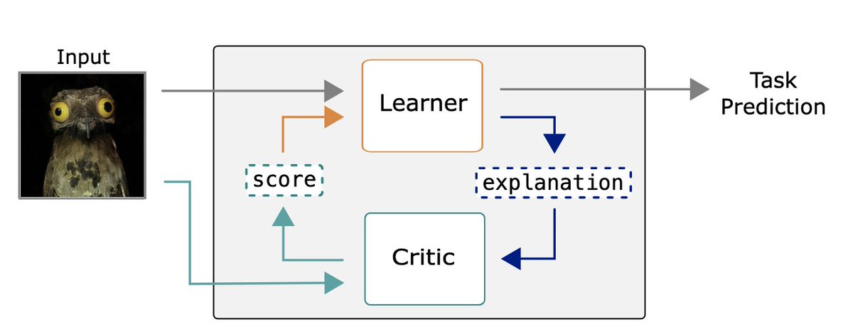WolfStammer's tweet photo. Finally our novel Learning by Self-eXplaining (LSX) approach is online: https://t.co/WFwm6GJYv0
For the first time a model is trained by explaining to and receiving feedback from an internal critic, going beyond standard accuracy benefits. Check it out! :) #kerstingAIML #hkrsnd https://t.co/4V0xnT7KsG