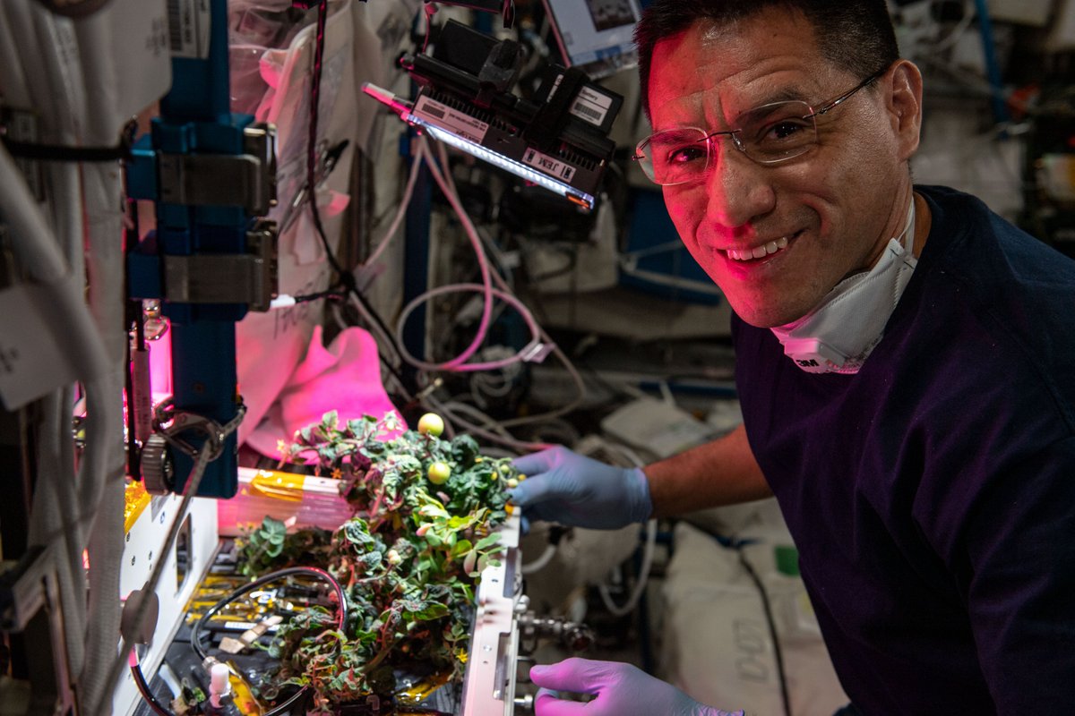 Congrats to NASA astronaut Frank Rubio, who has reached a record-breaking one year in space. 👨‍🚀✔

Rubio’s mission includes work on several experiments geared towards understanding how the human body reacts to spaceflight. More... go.nasa.gov/3LyrgTY