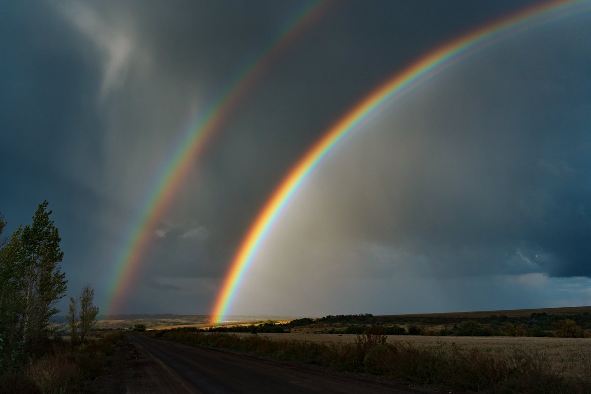 The Kyiv Independent tweet media