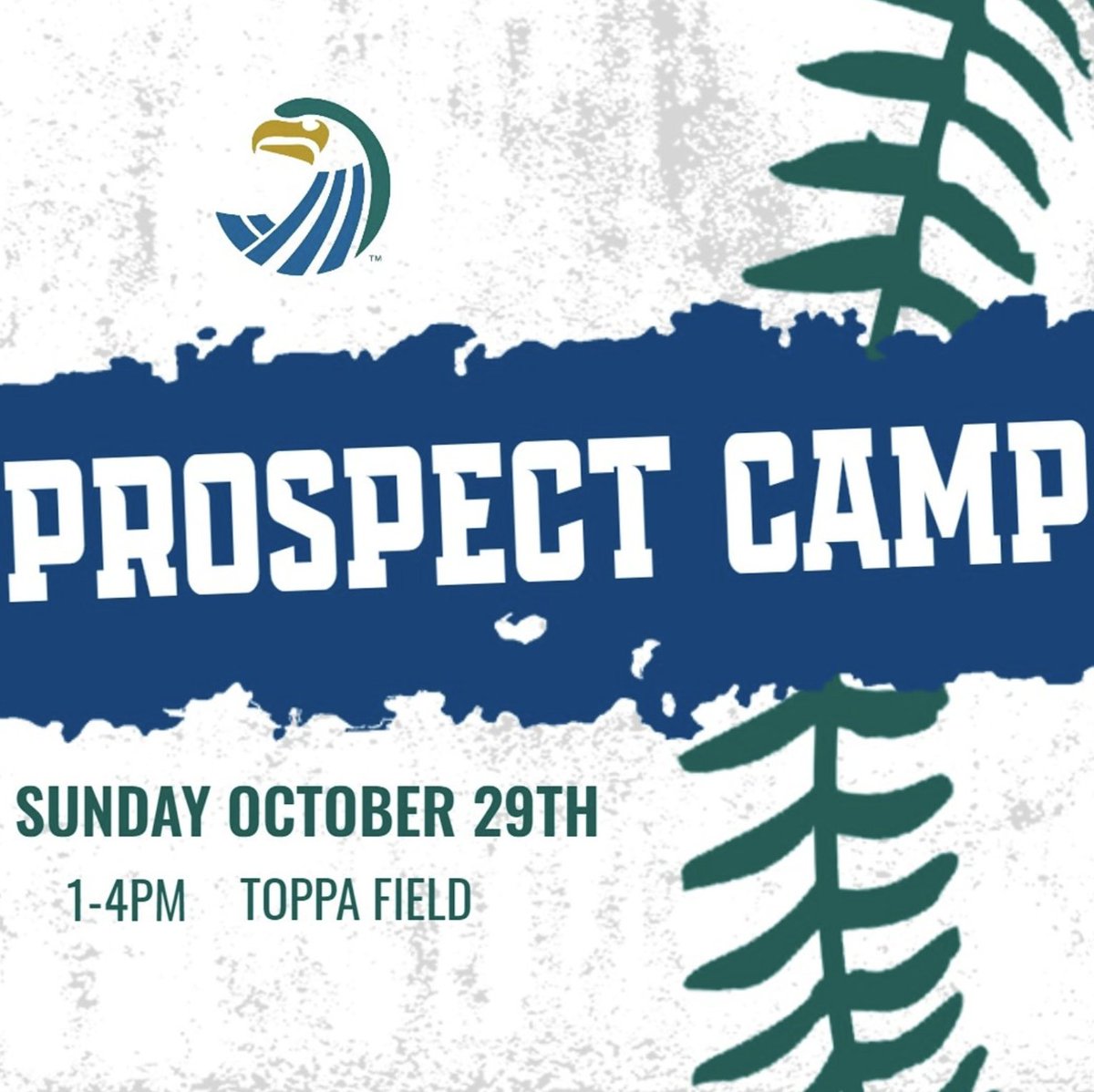 PROSPECT CAMP
🗓️Sunday October 29th
⏰1-4pm
📍Toppa Field
🎓9-12th
Link in bio to sign up!