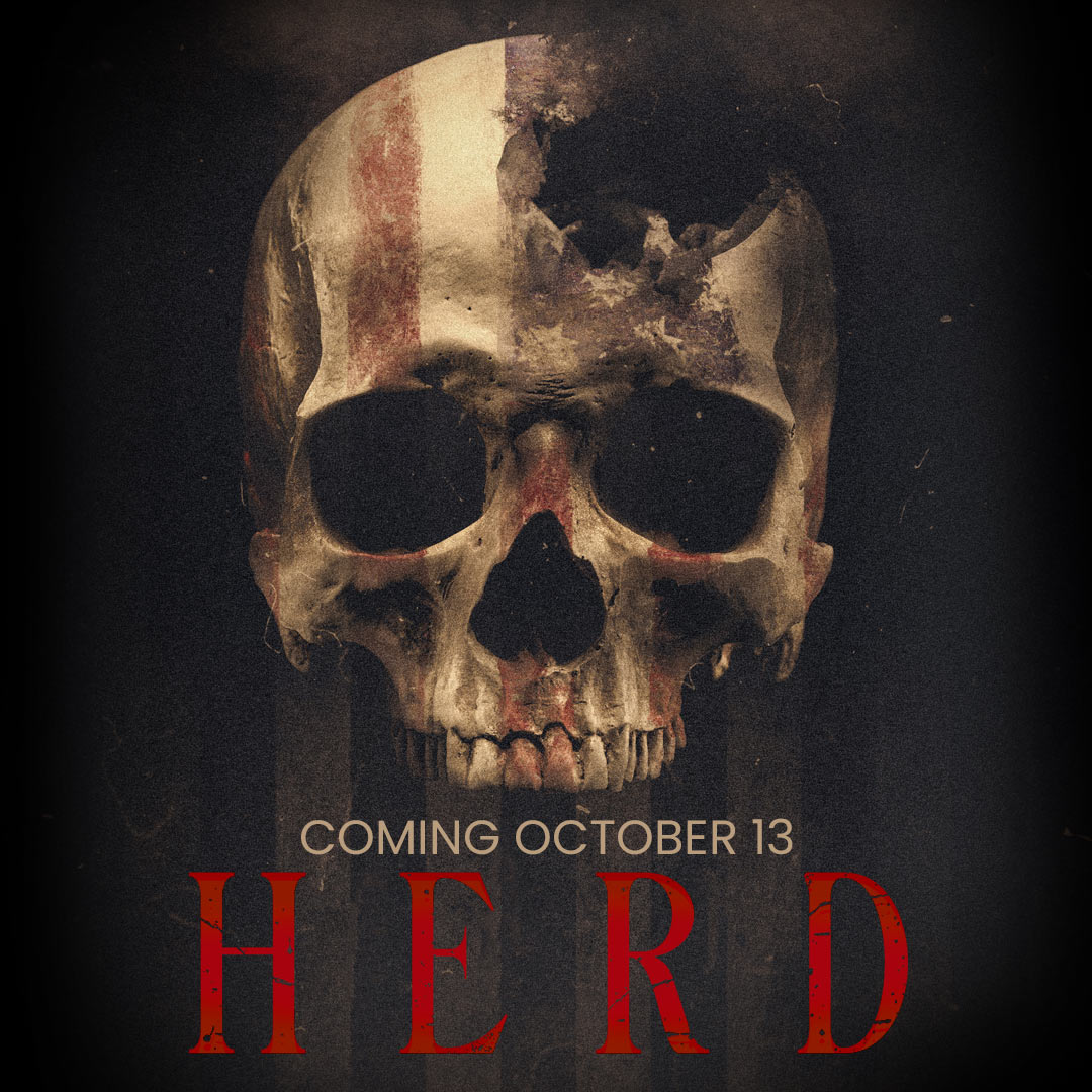 Dark Sky Films tweet media