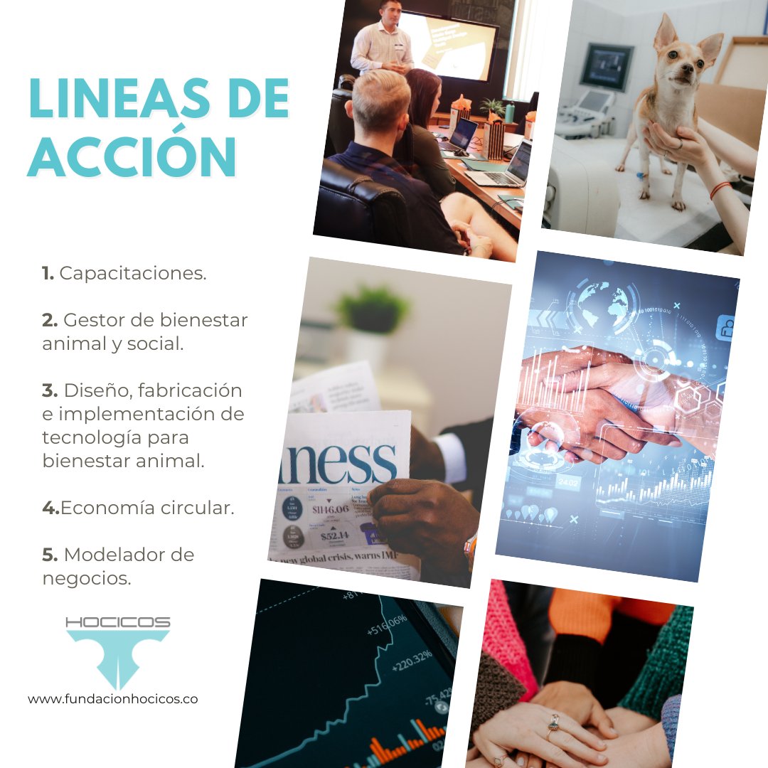FUNDACION HOCICOS tweet media