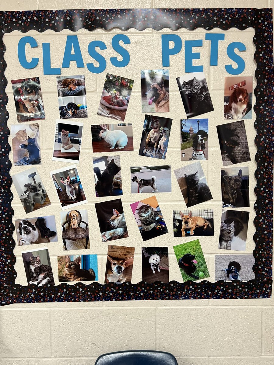 ‘23-‘24 8th grade class pets wall! Love seeing this everyday. <a href="/BeckendorffJH/">Beckendorff JH</a> #bdjhpride #pets